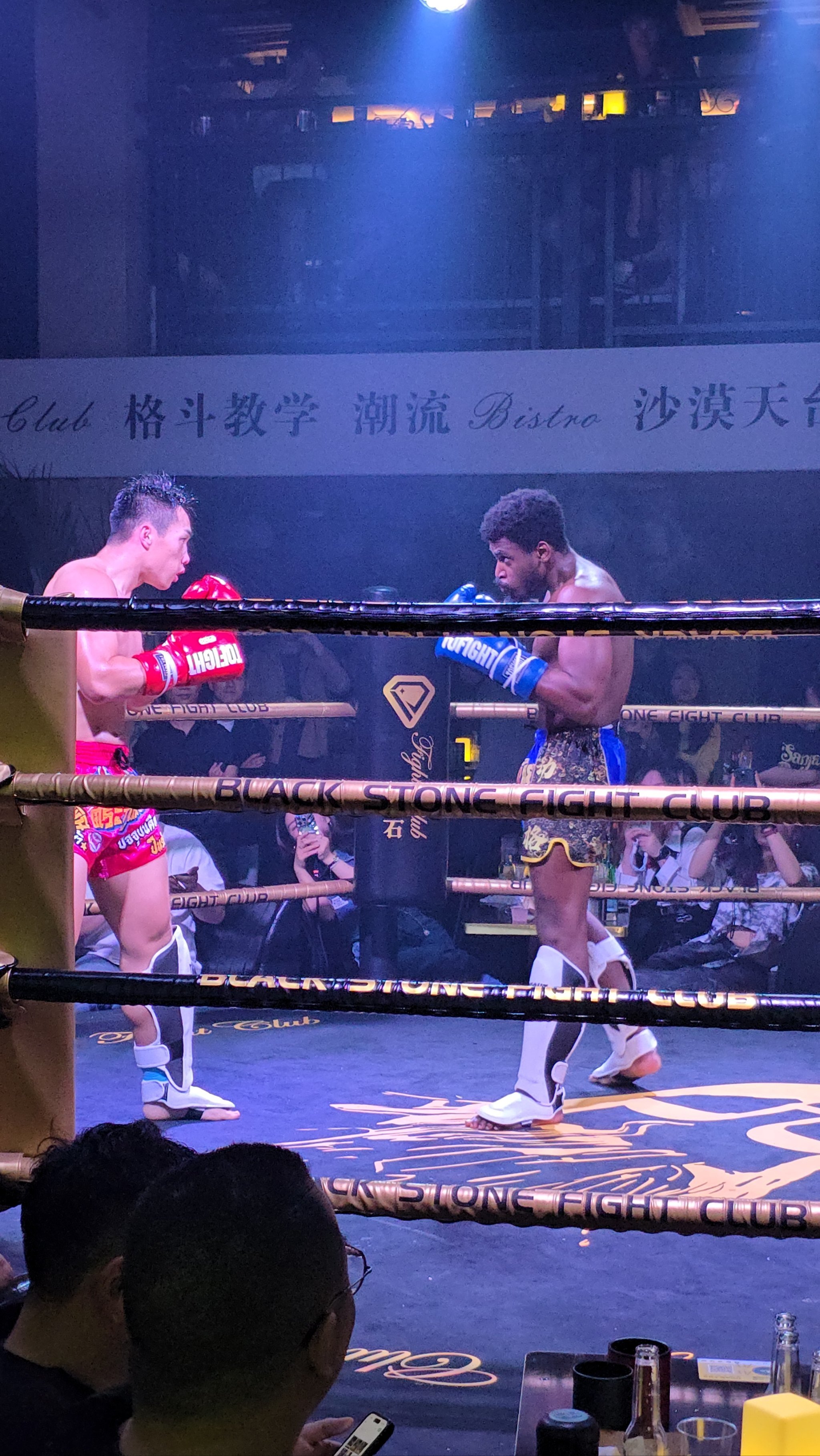 拉力赛友谊赛上演强强对话，雪域猎隼队淘汰对手燕赵银狐队，战术调整见效；精神属性拉满的简单介绍-球速体育在线观看